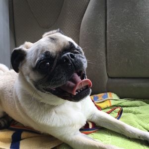 Meet your Posher, Lex